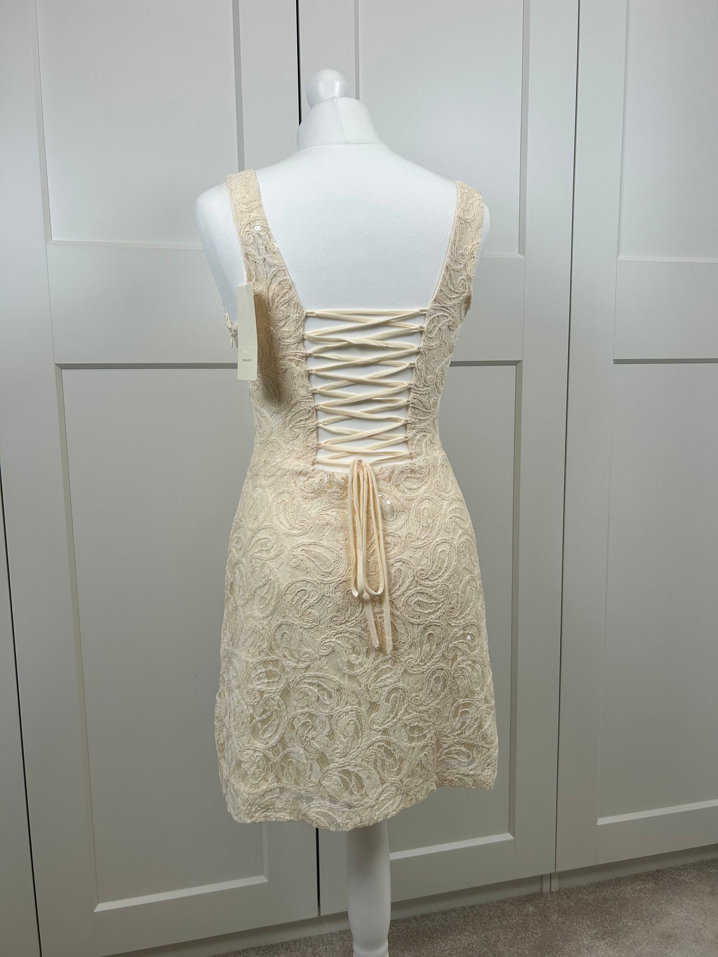 Lace Sequin Mini Dress