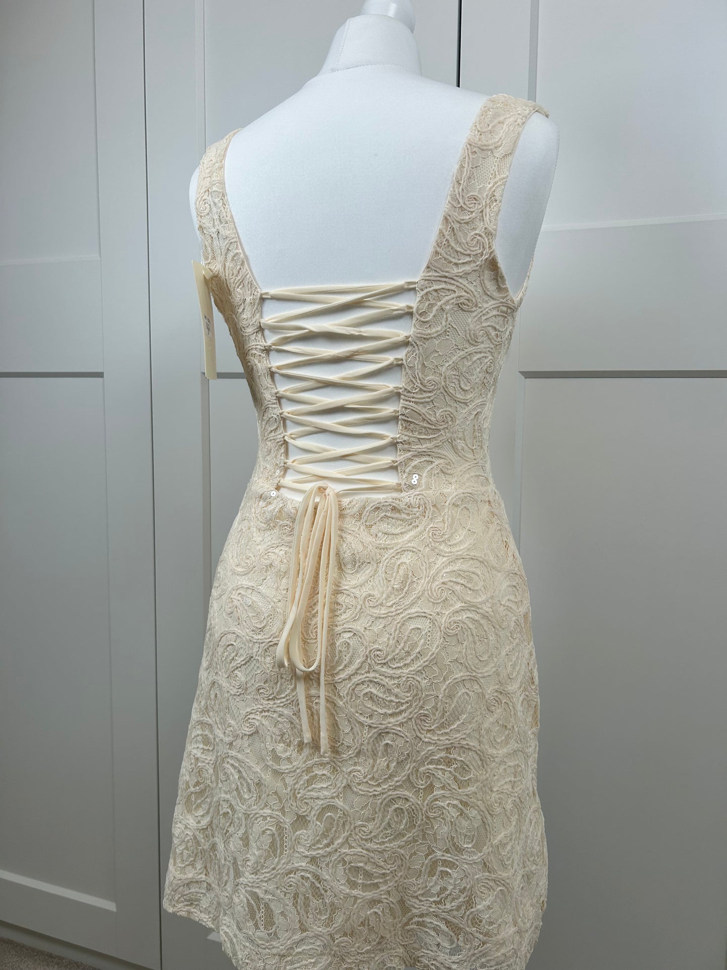 Lace Sequin Mini Dress
